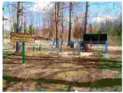 Братская могила